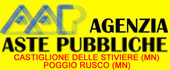 Agenzia Aste Pubbliche