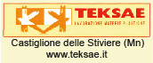 Teksae
